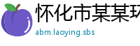 怀化市某某环保工程服务中心