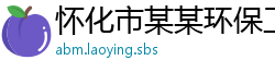 怀化市某某环保工程服务中心